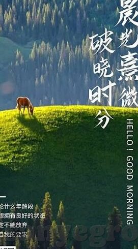 91麻豆免费观看视频-解锁91麻豆——探索免费观影领域的真实体验