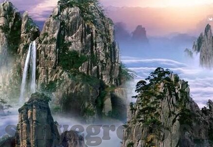 大象传媒app-探索大象传媒app，数字时代的文化传播新阵地