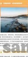 大象传媒出品-探索大象传媒出品的文化影响力与创意创新