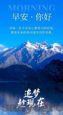日韩av无码久久精品免费-日韩AV无码久久精品免费，理性审视与文化边界
