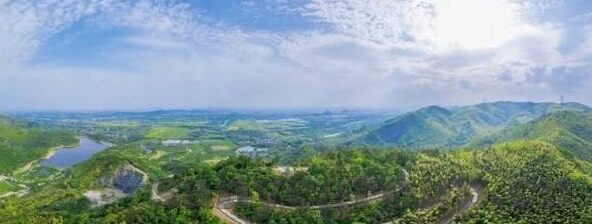 台湾大象传媒名下艺人-台湾大象传媒名下艺人的多元风采