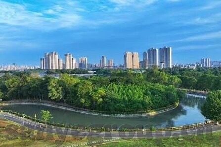 糖心vlog入口进入网站-奇妙的小天地，揭秘糖心Vlog的独特魅力