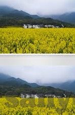 天美传媒果冻传媒蜜桃传媒在线-探索网络文化新视界，天美传媒、果冻传媒与蜜桃传媒的在线魅力