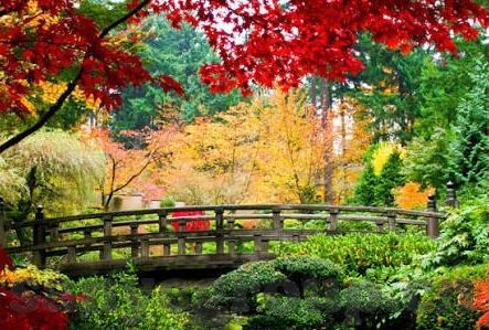 羞羞视频麻豆-探寻网络隐秘，多余的窥探游戏